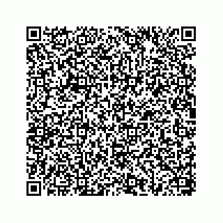 vCard 78656335284