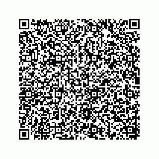 vCard 78656335287