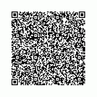 vCard 78656335289