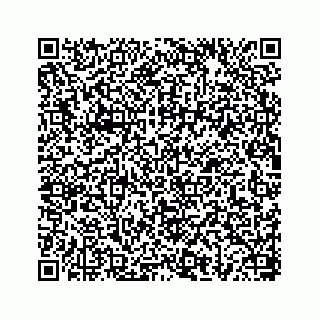 vCard 78656335291
