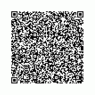 vCard 78656335293