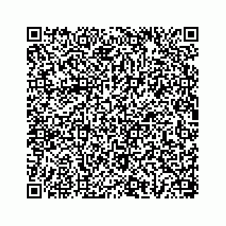 vCard 78656335294