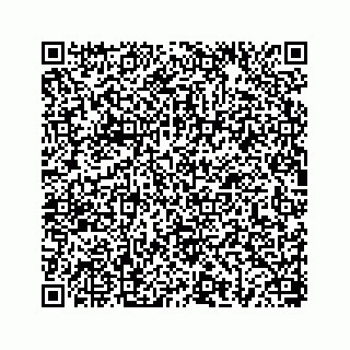 vCard 78656335295