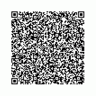 vCard 78656335296
