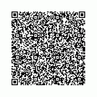vCard 78656335299