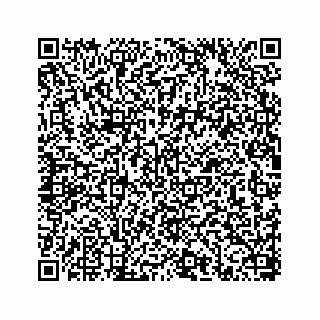 vCard 78656337041