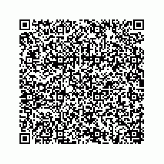 vCard 78656337065