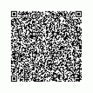 vCard 78656337081
