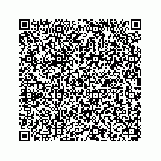 vCard 78656337107