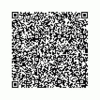 vCard 78656337251