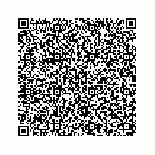 vCard 78656337280