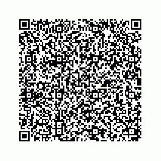 vCard 78656337281