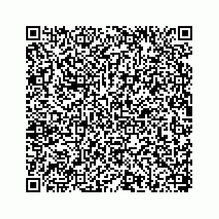vCard 78656337300