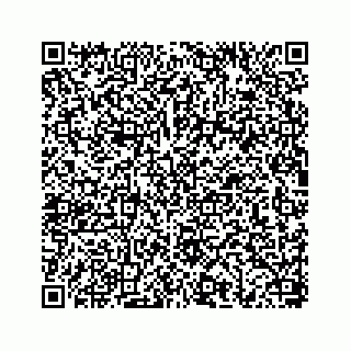 vCard 78656337303