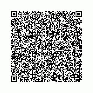 vCard 78656337304