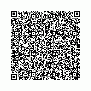 vCard 78656337313
