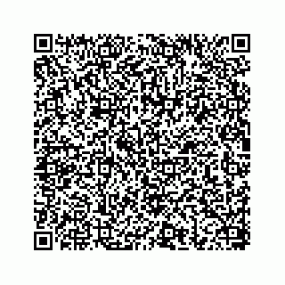 vCard 78656337314