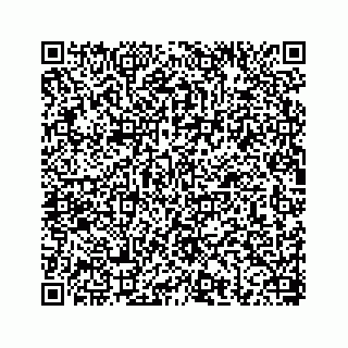 vCard 78656337316