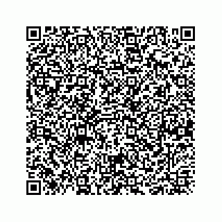 vCard 78656337333