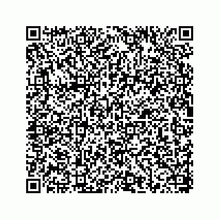 vCard 78656337381