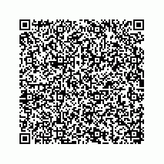 vCard 78656339117