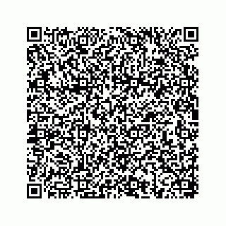 vCard 78656339133