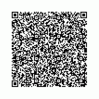 vCard 78656339173