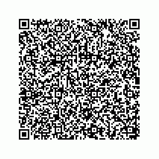 vCard 78656339201