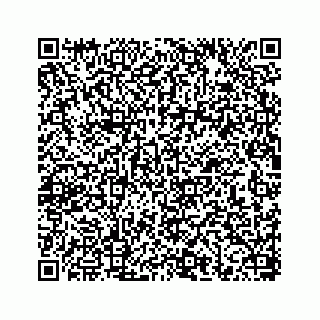 vCard 78656339203