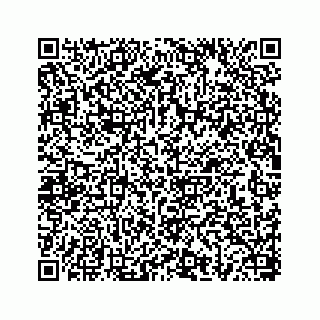 vCard 78656339291