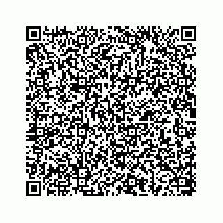 vCard 78656339295