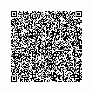 vCard 78656339316