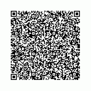 vCard 78656339328