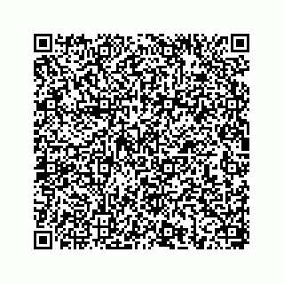 vCard 78656339333
