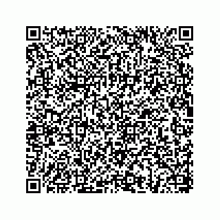 vCard 78656339334