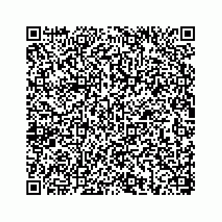 vCard 78656339335