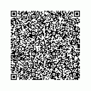 vCard 78656339381