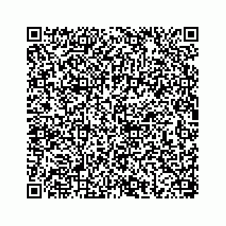vCard 78656339411