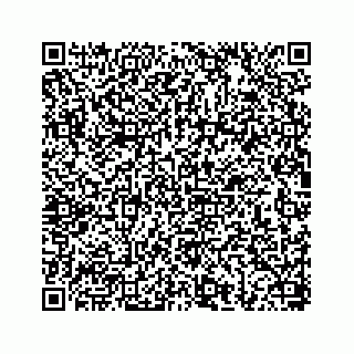 vCard 78656339413
