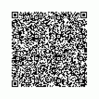 vCard 78656339417