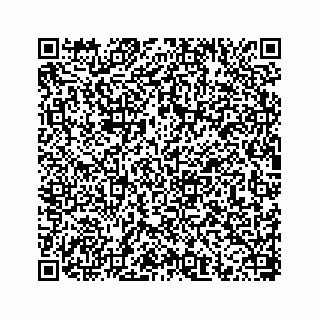 vCard 78656536101