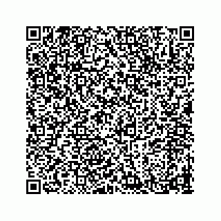 vCard 78656536128