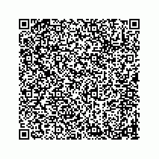 vCard 78656536213