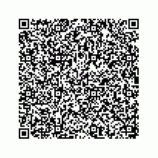 vCard 78656536285
