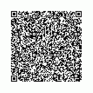 vCard 78656536291