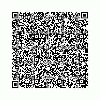 vCard 78656536295