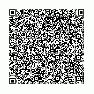 vCard 78663178317