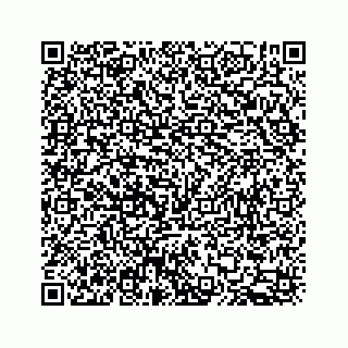 vCard 78663329138