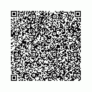 vCard 78663740428