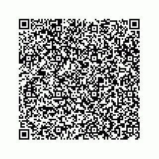vCard 78663740499